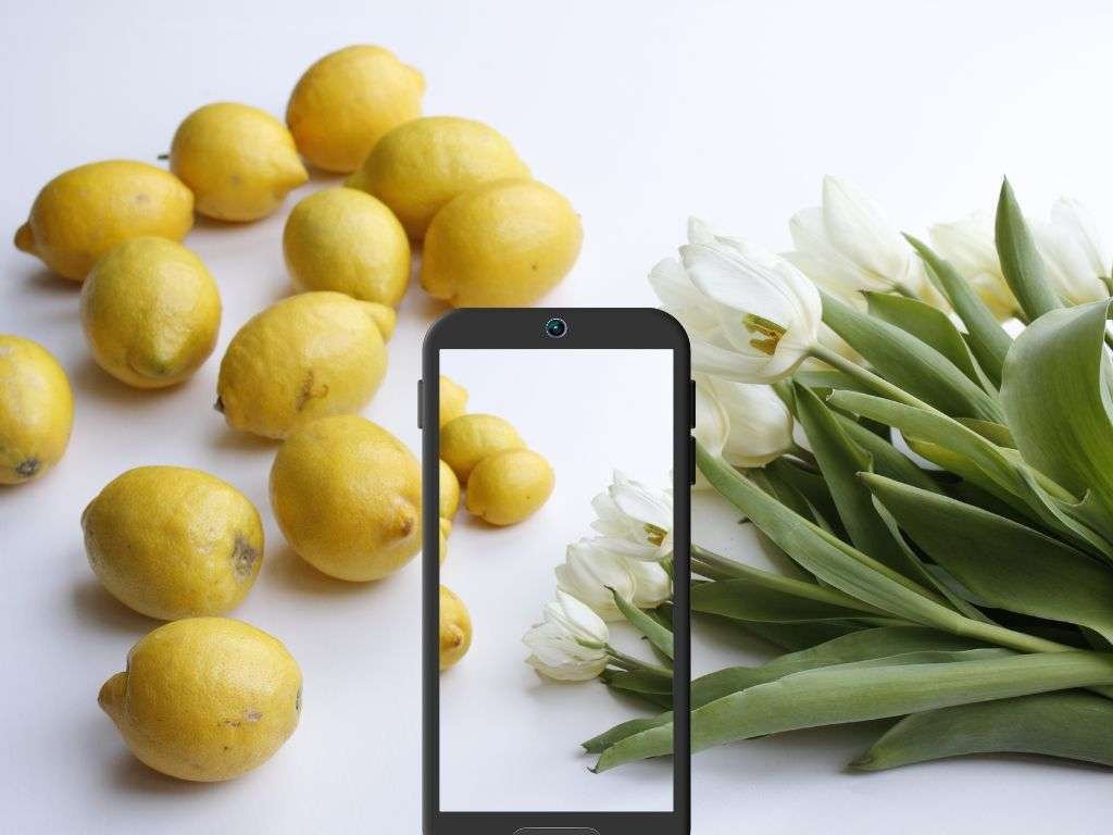 Visual Boost for SEO: Optimizing Images for Better Rankings