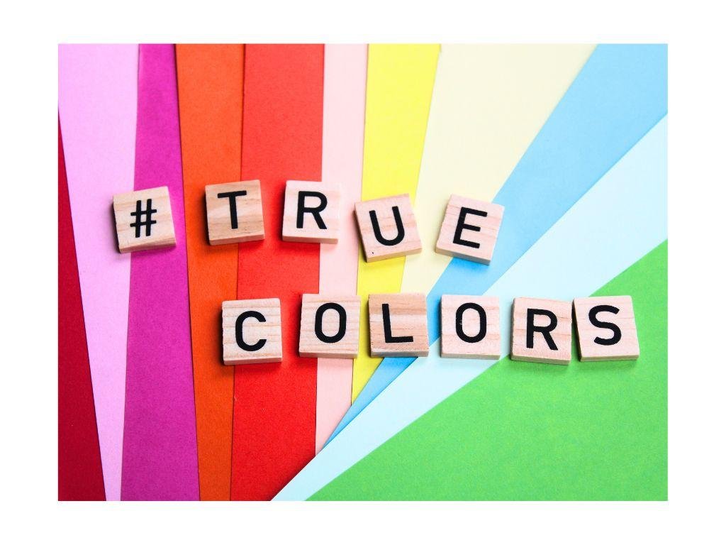 The SEO rainbow: How do colors affect SEO performance?