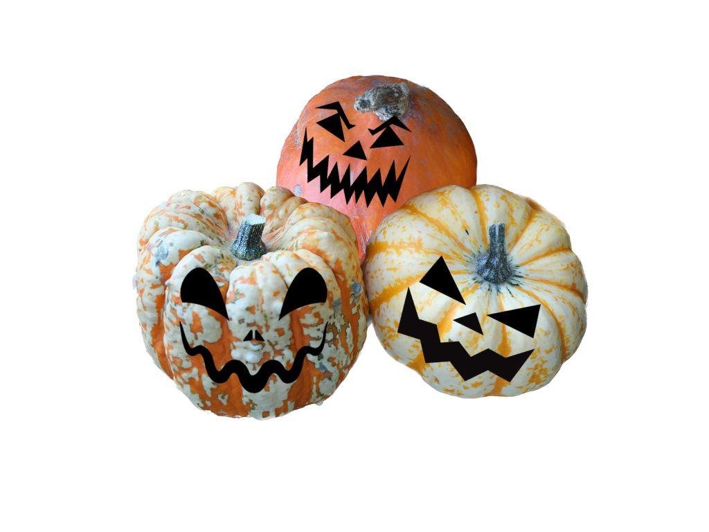 Halloween Digital Marketing Campaign